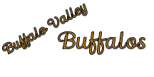 Buffalo Valley Buffalos