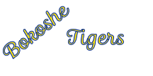 Bokoshe Tigers