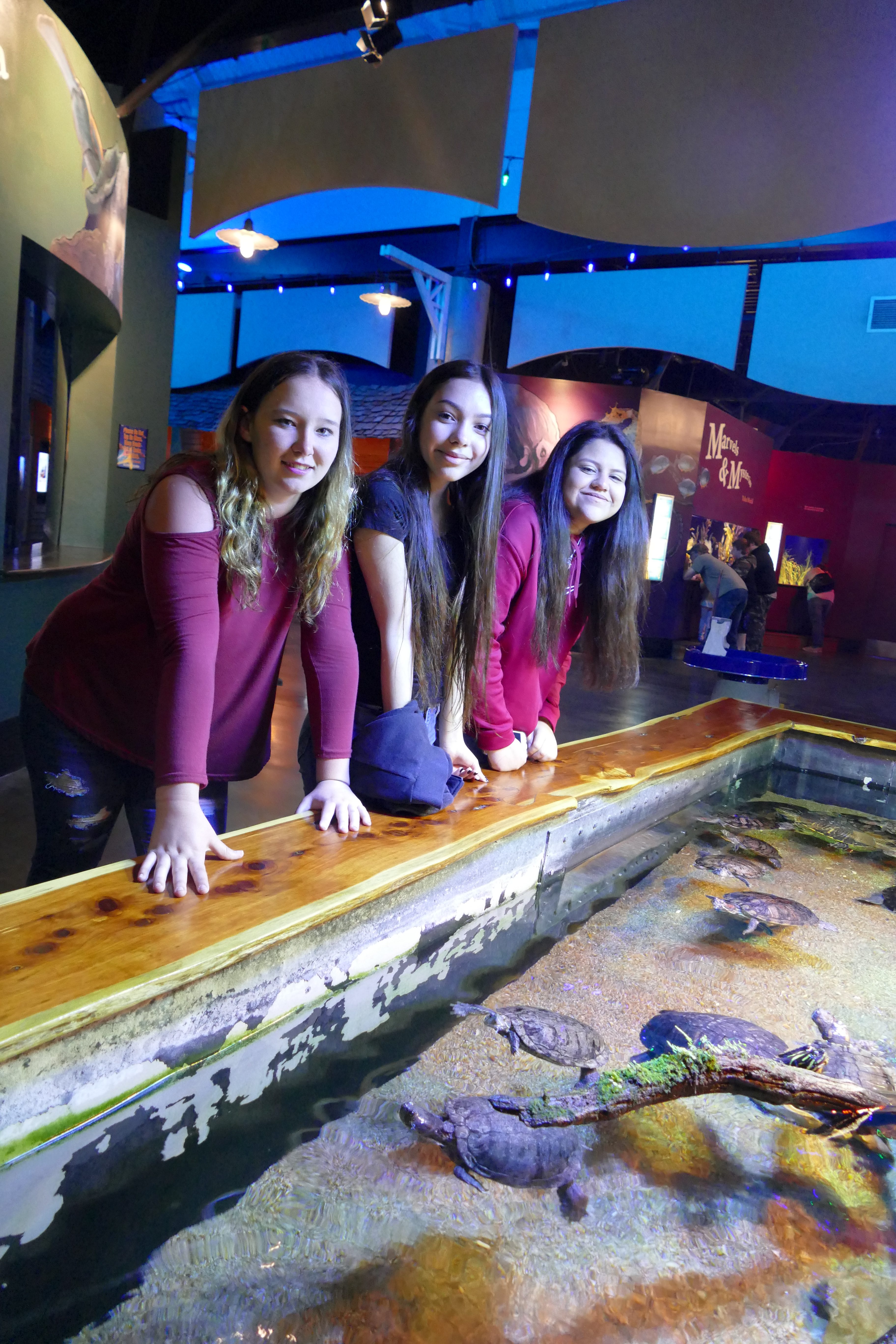 Extreme Fishes  Oklahoma Aquarium Jenks, OK